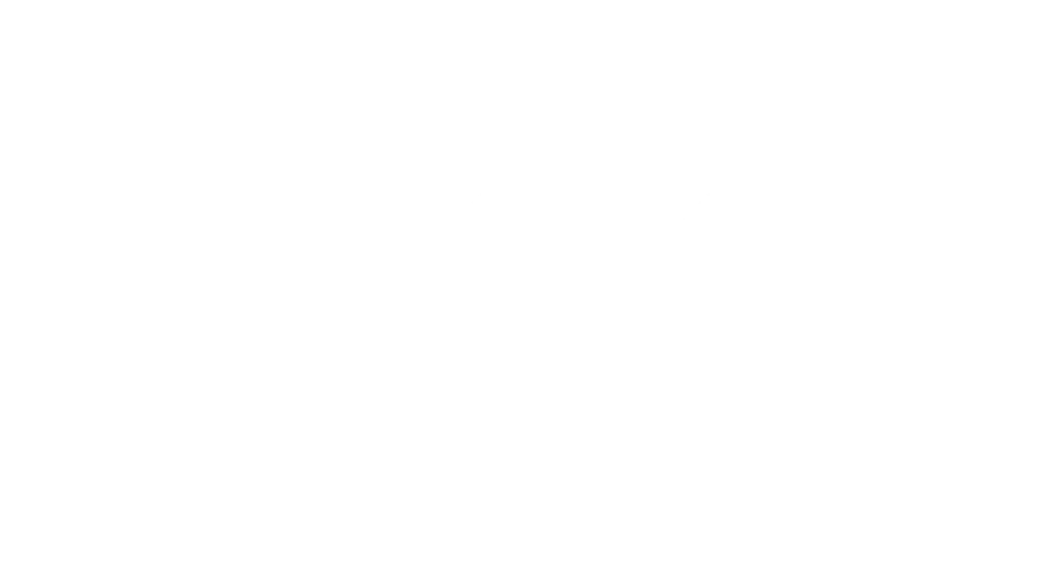 fs1-logo-1.webp